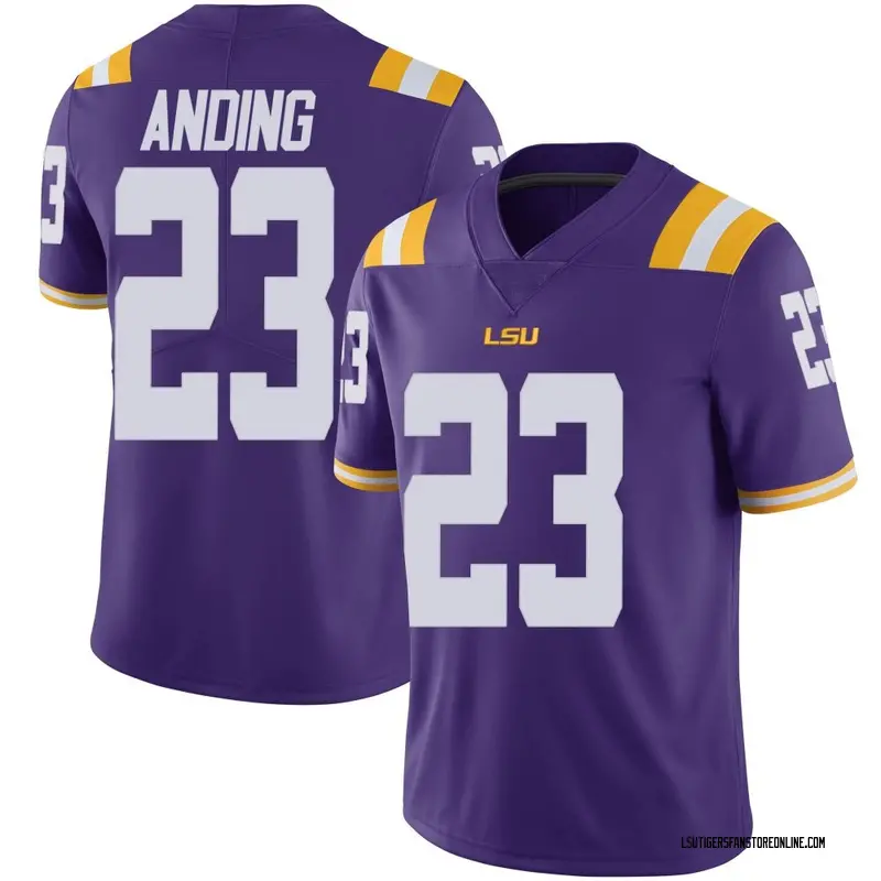 Limited Men's Aidan Anding LSU Tigers Purple Vapor Untouchable Football College Jersey